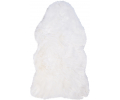 Arcticwolf